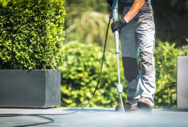 Best Dumpster Area Cleaning  in Clay City, IN
